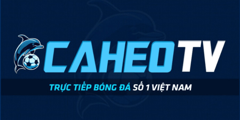 Các dịch vụ Cá Heo TV đang cung cấp hiện nay