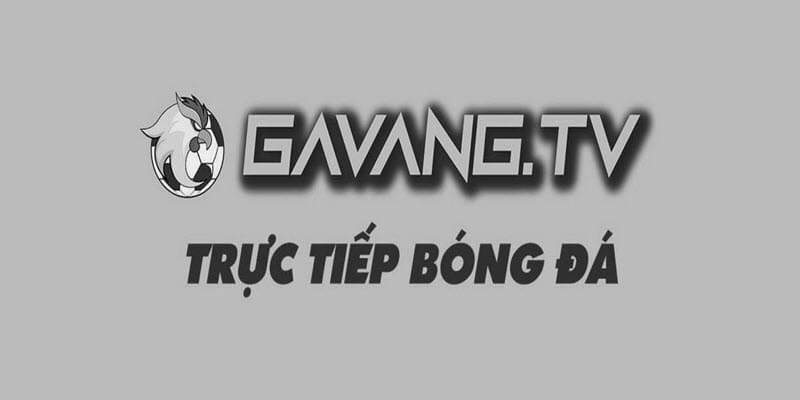 10 trang web xem bóng đá trực tuyến uy tín - Mì tôm TV - Gà vàng TV