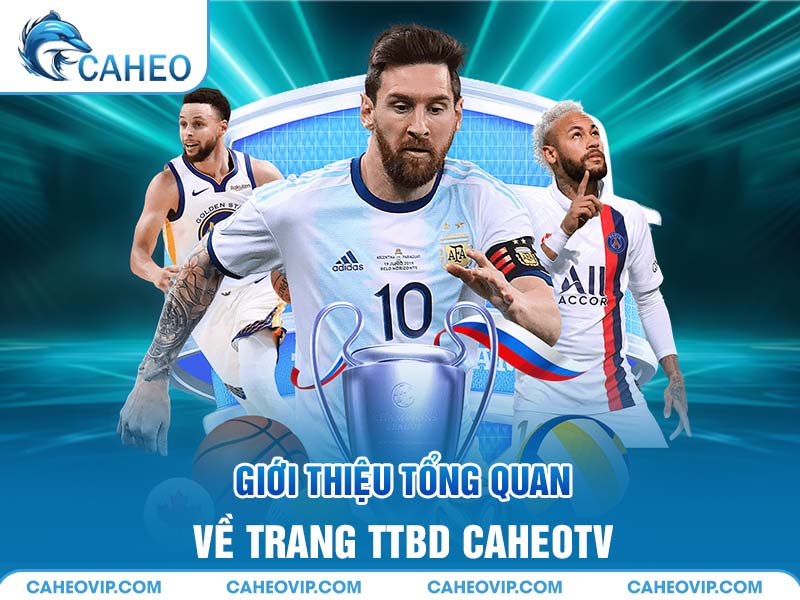 Giới thiệu tổng quan về trang trực tiếp bóng đá Cá heo TV