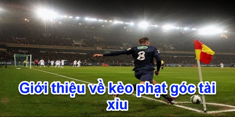 Giới thiệu 1 chút về kèo phạt góc tài xỉu