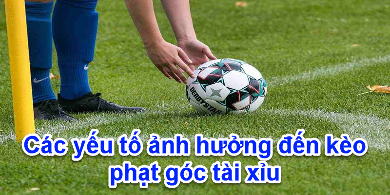 Các yếu tố chính ảnh hướng đến kèo phạt góc tài xỉu Ca heo TV