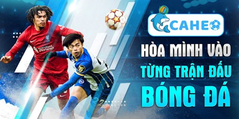 Phần thưởng danh giá đơn vị đã đạt được