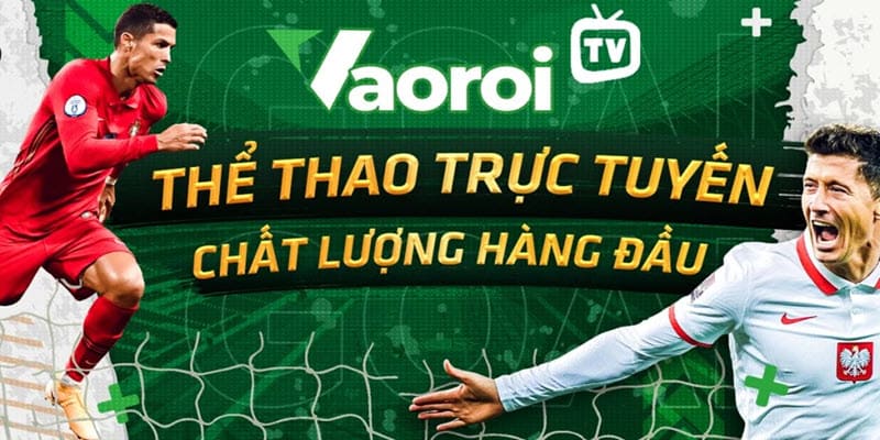 10 trang web xem bóng đá trực tuyến uy tín - Vào rồi TV