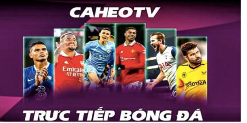 Về chúng tôi Caheo TV - Nền tảng thể thao hàng đầu