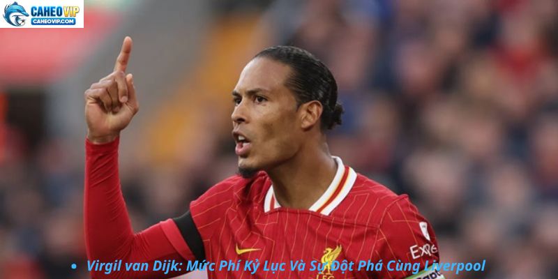 Virgil van Dijk: Kỳ Tích Chuyển Nhượng Và Thành Công Tại Liverpool