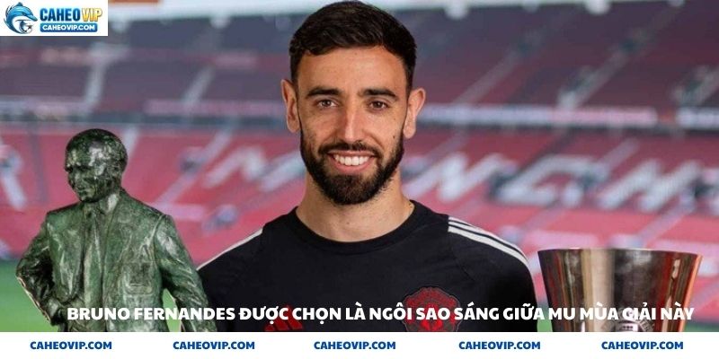 Người nhạc trưởng bộ não của tuyến giữa Mu