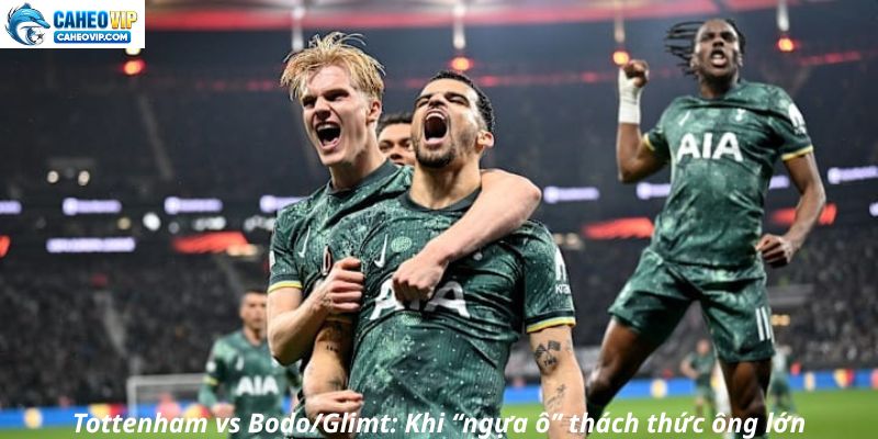Tottenham vs Bodo/Glimt: Khi “ngựa ô” thách thức ông lớn
