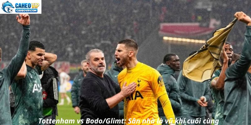 Tottenham vs Bodo/Glimt: Sân nhà là vũ khí cuối cùng